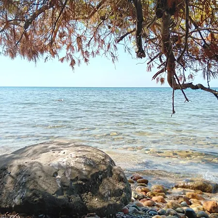 Aliki *