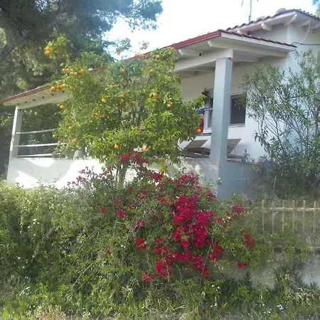Villa Aliki Nea Skioni