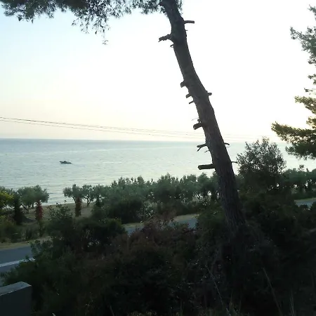 Aliki *