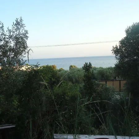 Aliki
