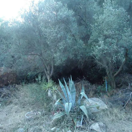 Aliki * Nea Skioni
