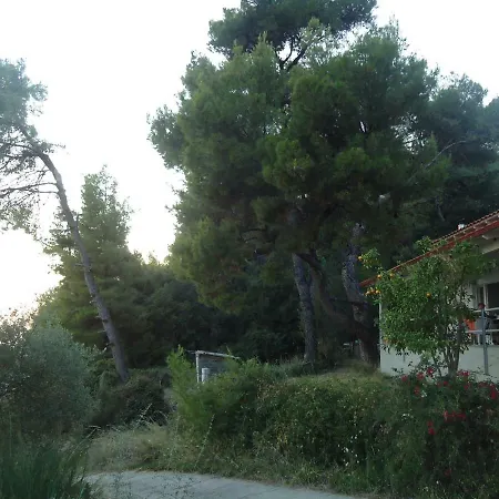 Villa Aliki *