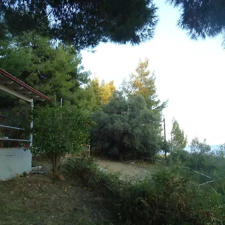Aliki Villa