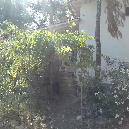Villa Aliki