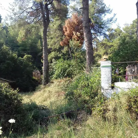 Villa Aliki *