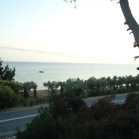 Aliki