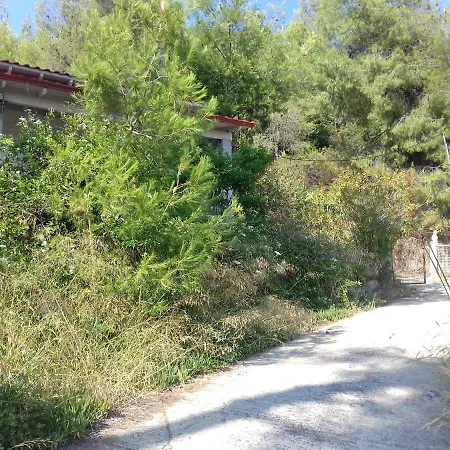 Aliki Nea Skioni
