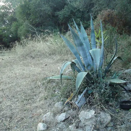 Aliki Villa Nea Skioni