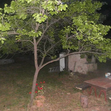 Aliki Nea Skioni