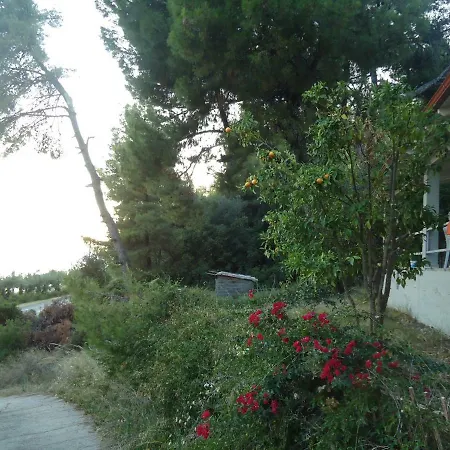 Villa Aliki *