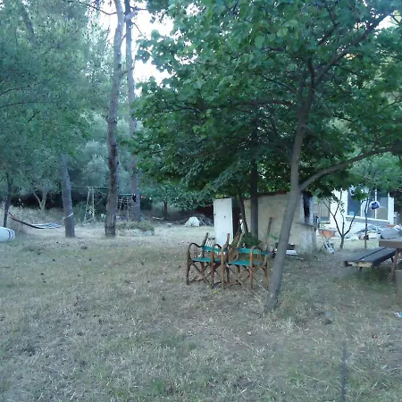 Aliki Nea Skioni