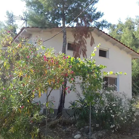 Aliki Villa Nea Skioni